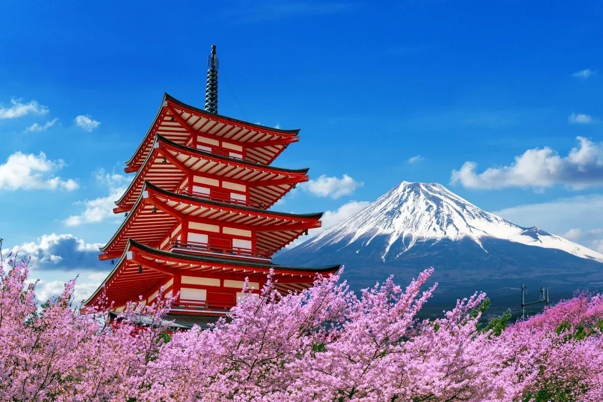 Chureito Pagoda with Mount Fuji and cherry blossoms under blue sky in springtime Japan