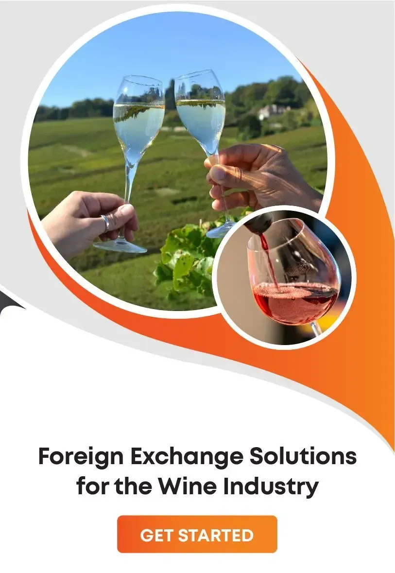 Foreign exchange solution for businesses