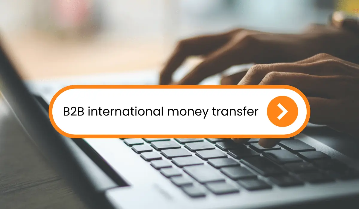 A Complete Guide to B2B International Money Transfer