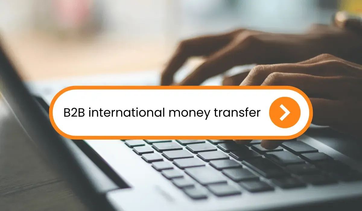 Hero image visual featuring a search bar saying "B2B international money transfer" with laptop in the background.