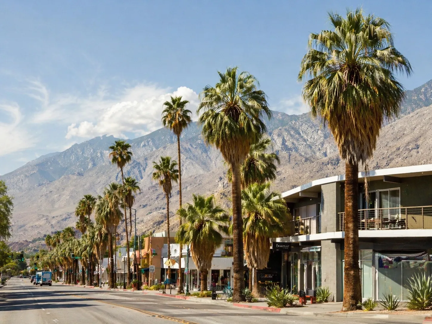 Palm-lined street with mountain backdrop and modern low-rise buildings in a sunny desert city neighbourhood.