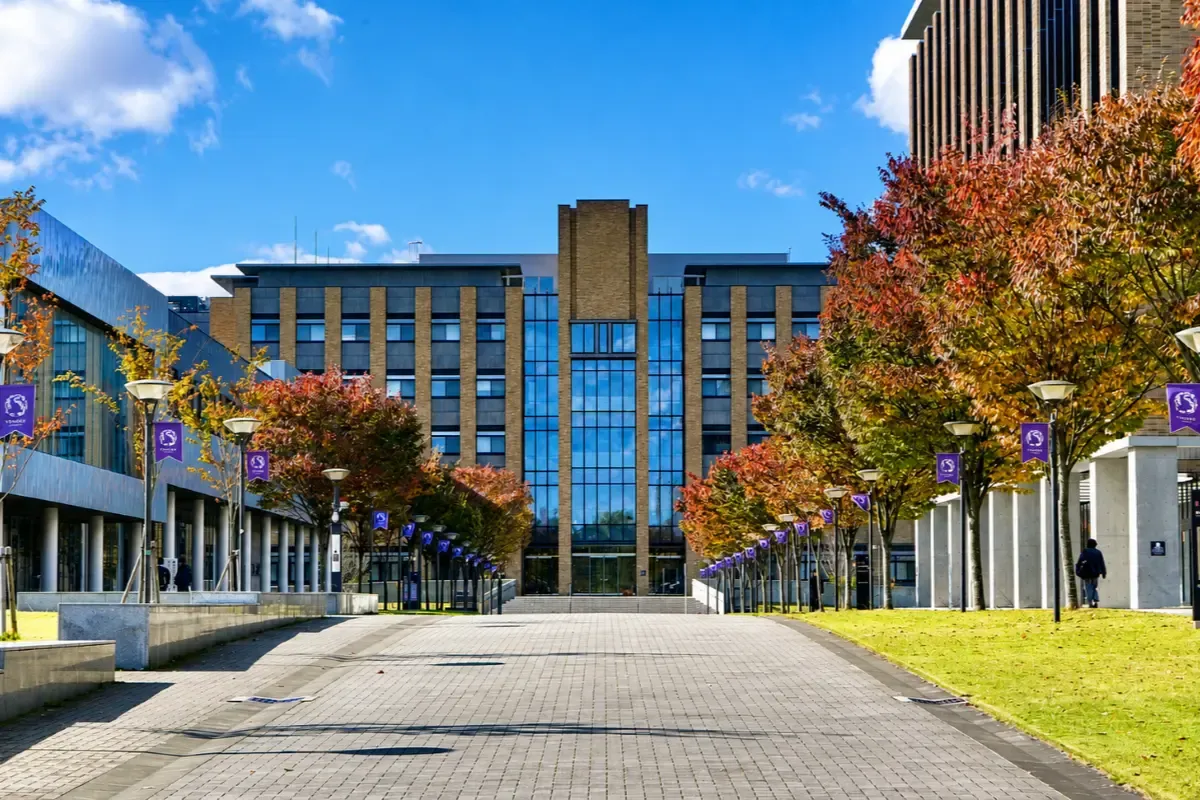 Tohoku University campus walkway lined with autumn trees, purple banners, and modern buildings leading toward a central academic building under a bright blue sky.