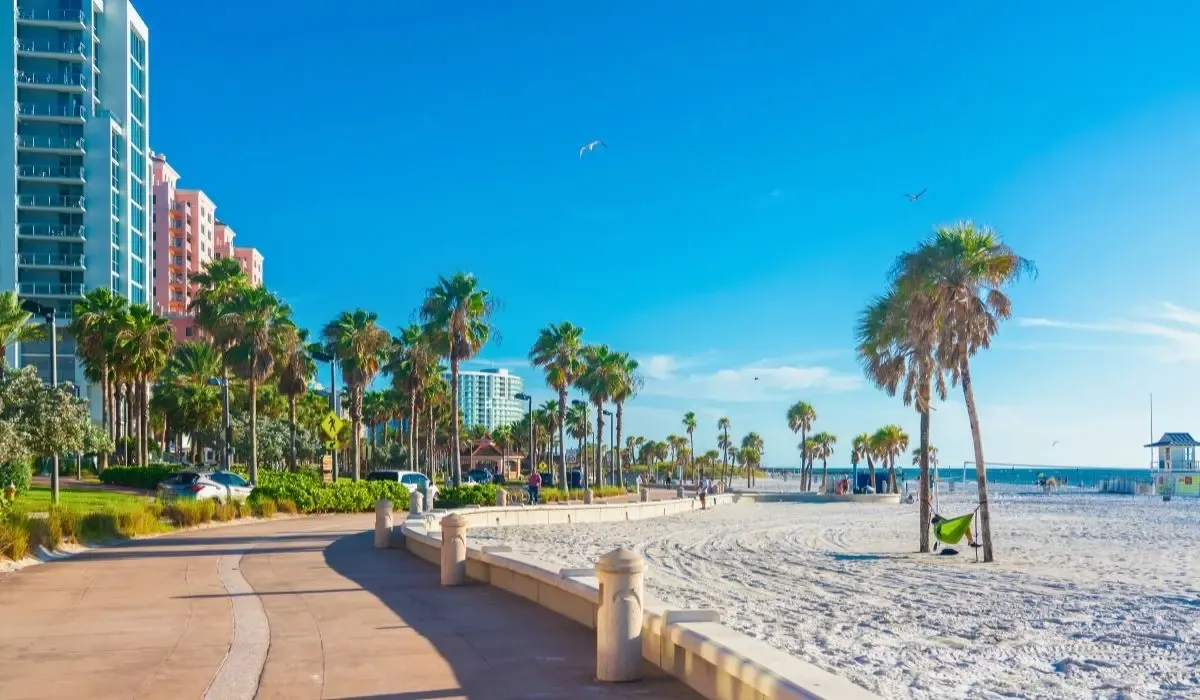 A scenic image of Clearwater Beach with white sandy shores, turquoise waters, and palm trees lining the coast.