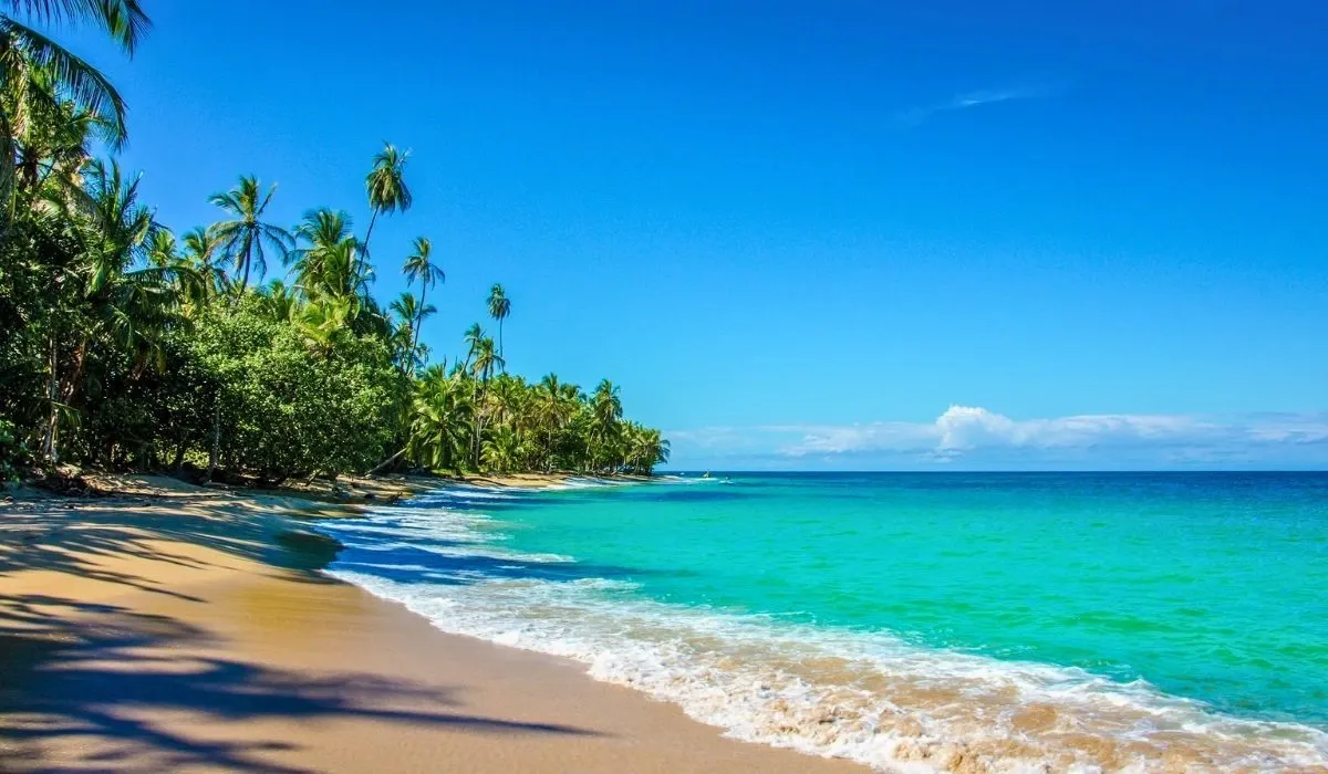 Idyllic tropical beach lined with palm trees and turquoise waters, ideal for Canadians buying overseas property and saving on currency exchange when transferring funds internationally.