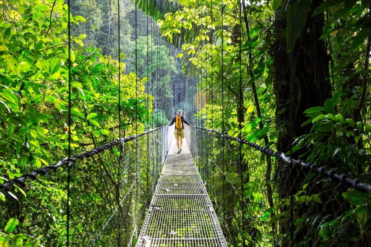 Person walking across a suspension bridge surrounded by lush rainforest in Costa Rica.