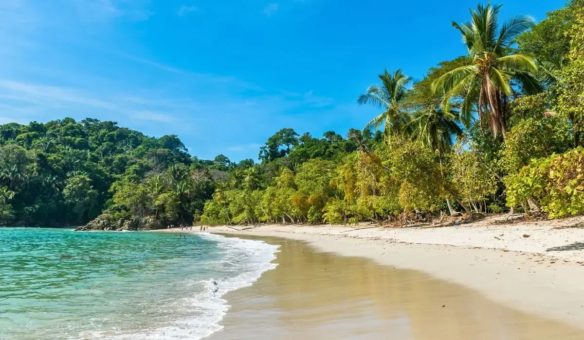 A lush rainforest scene in Costa Rica, with a cascading waterfall surrounded by dense tropical vegetation and misty air.​