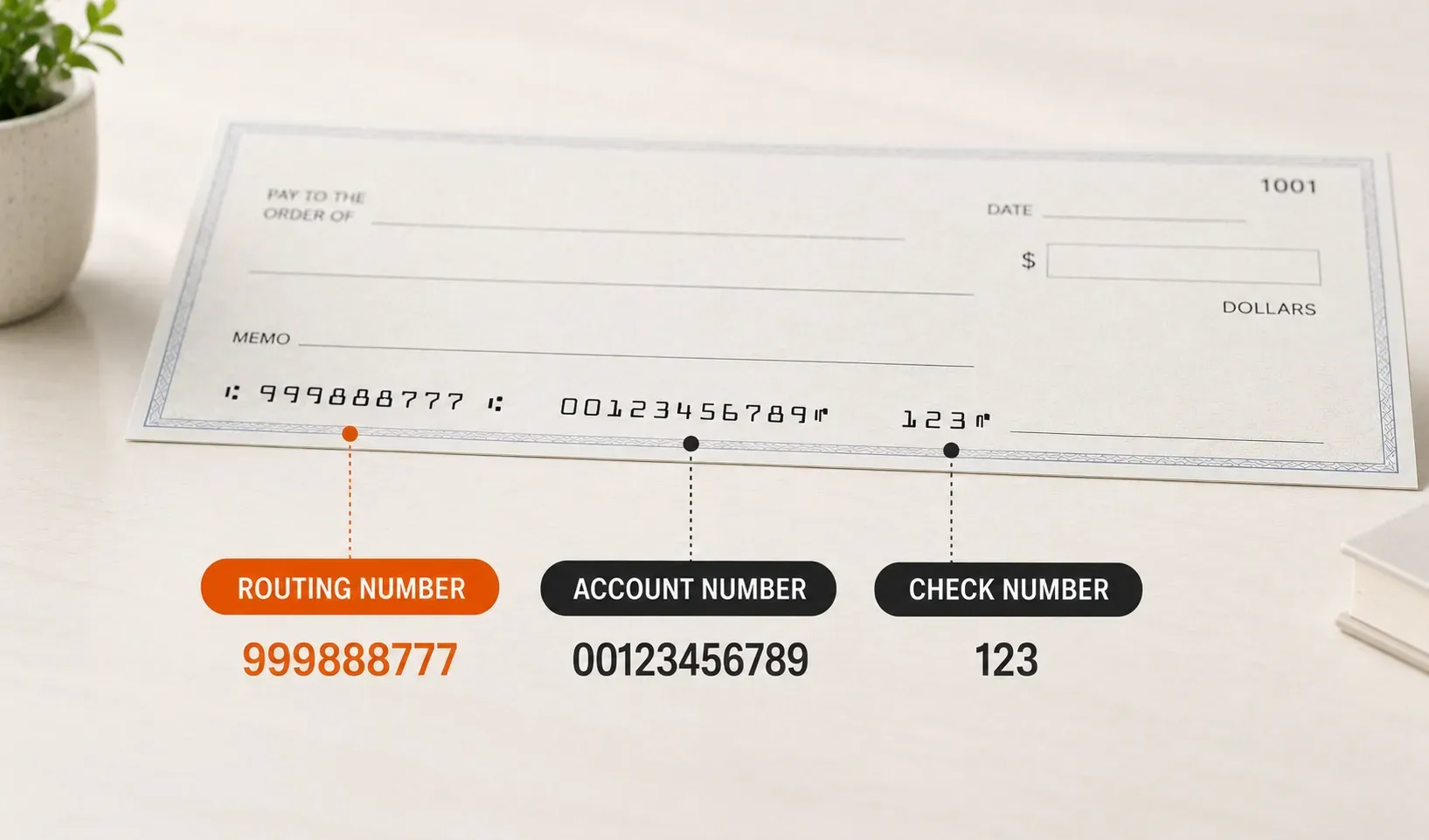 Illustration highlighting the routing number, account number, and cheque number with the routing number prominently emphasized for international banking.