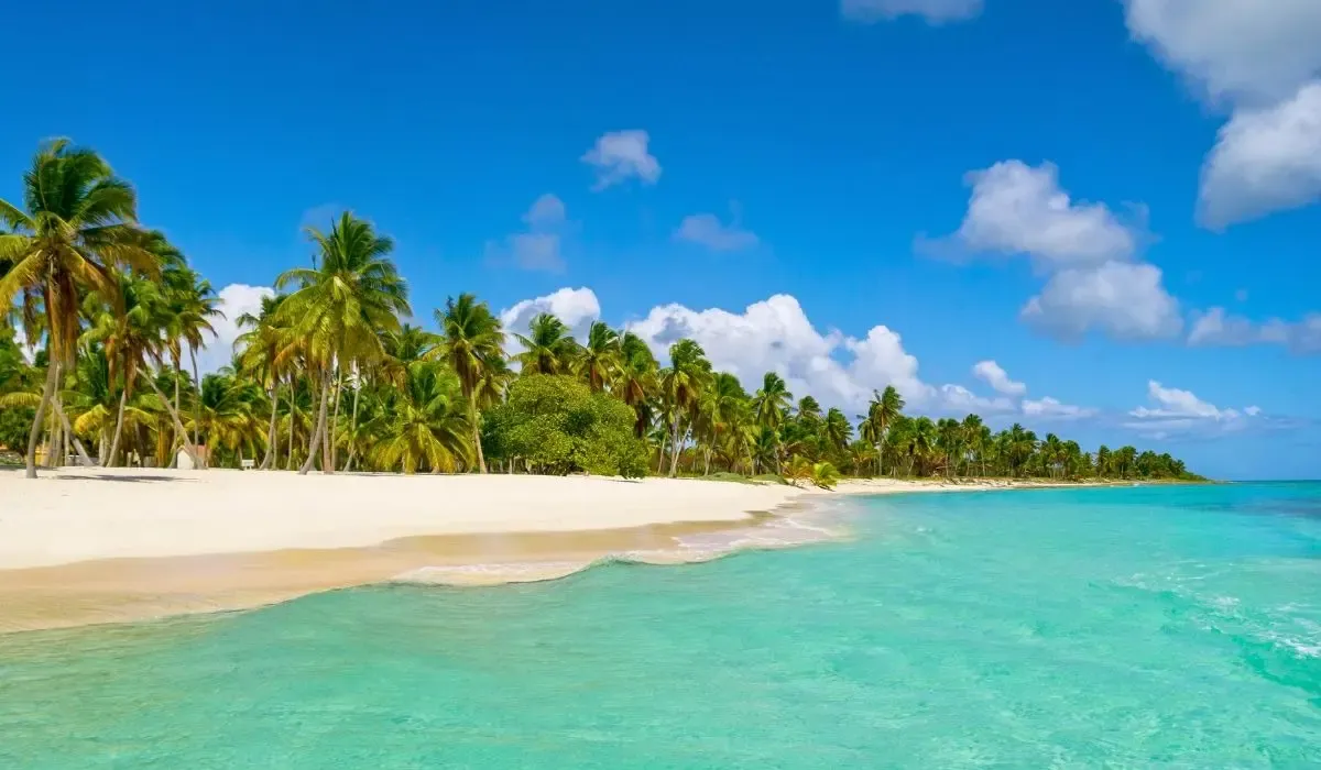 A lively beach in the Dominican Republic, with sunbathers, thatched umbrellas, and gentle waves lapping against the shore.