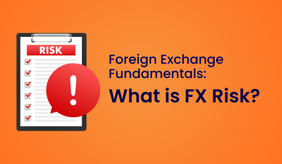 Foreign Exchange Fundamentals: What is FX Risk and How to Protect Your Business