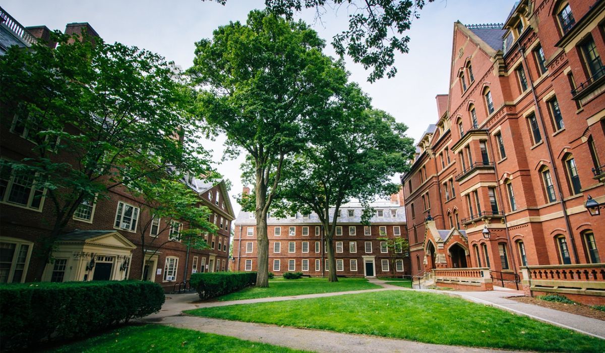 Classic red-brick dormitories and historic walkways at Harvard University, shaded by mature trees in a serene campus courtyard setting.
