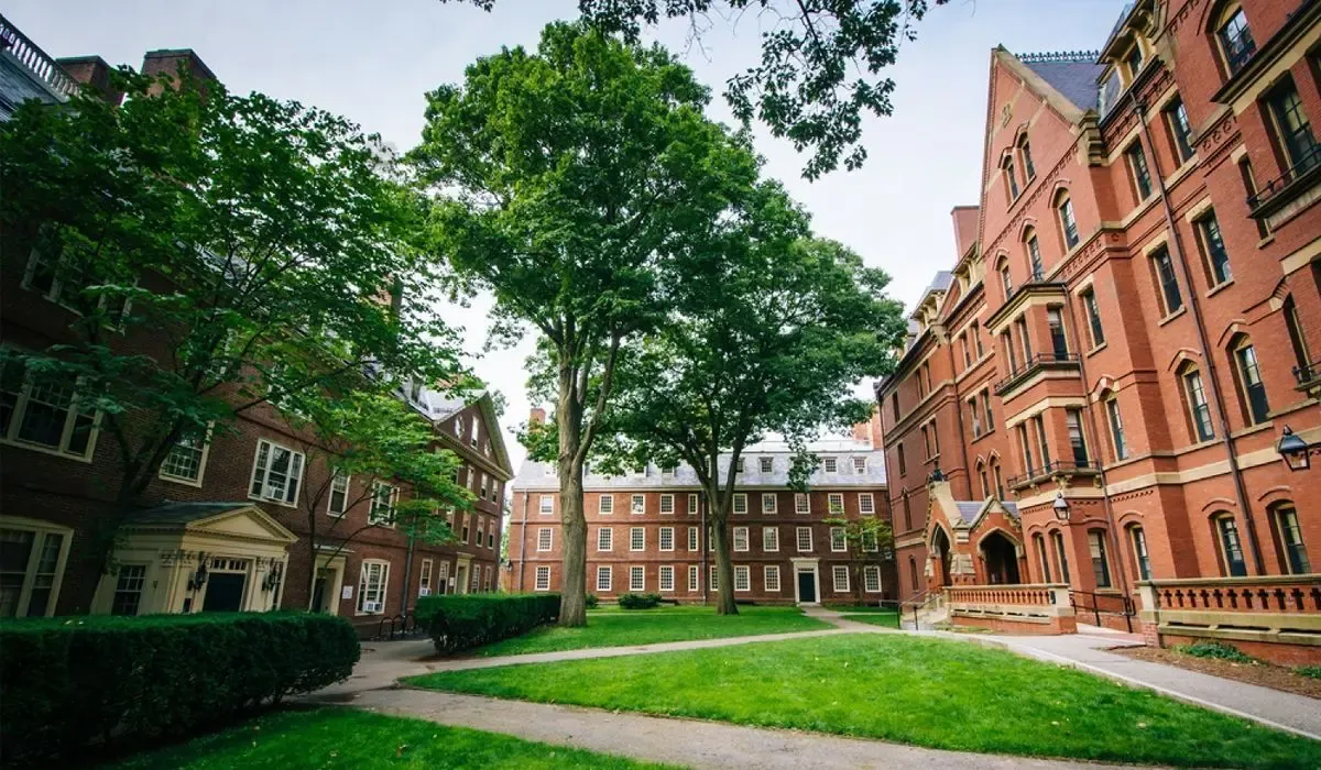 Harvard Yard with red-brick buildings and tree-lined paths. Pay tuition from Canada to Harvard in USD with MTFX and save on every transfer.