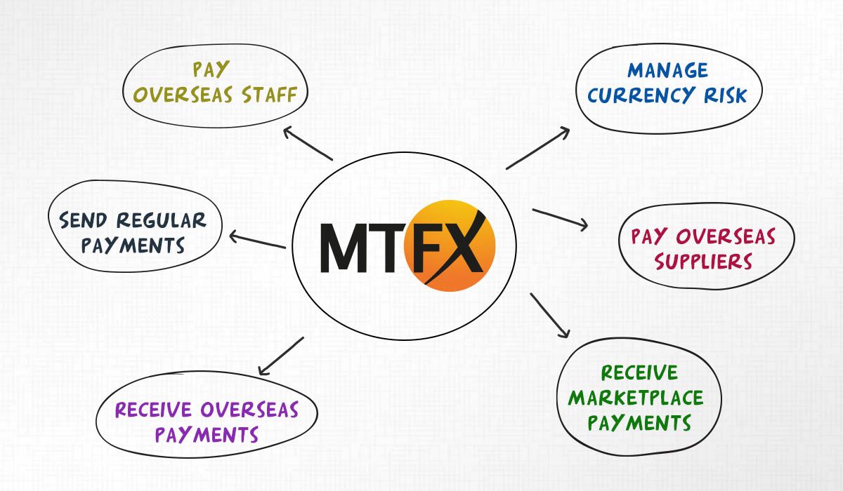 An illustrative image showing how MTFX can help startups with its range of services