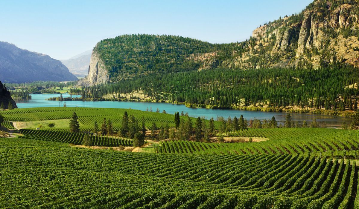 Vaseux Lake- - British Columbia, Canada
