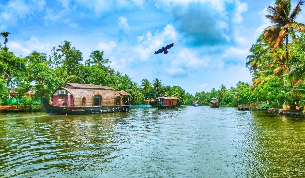 Traditional houseboats floating on the backwaters surrounded by palm trees in Kerala, India.
