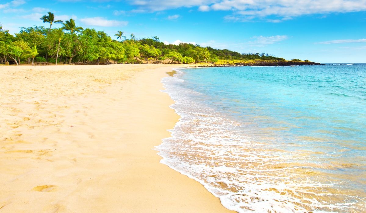 Quiet sandy beach with turquoise water and lush green trees along the shoreline in Hawaii.