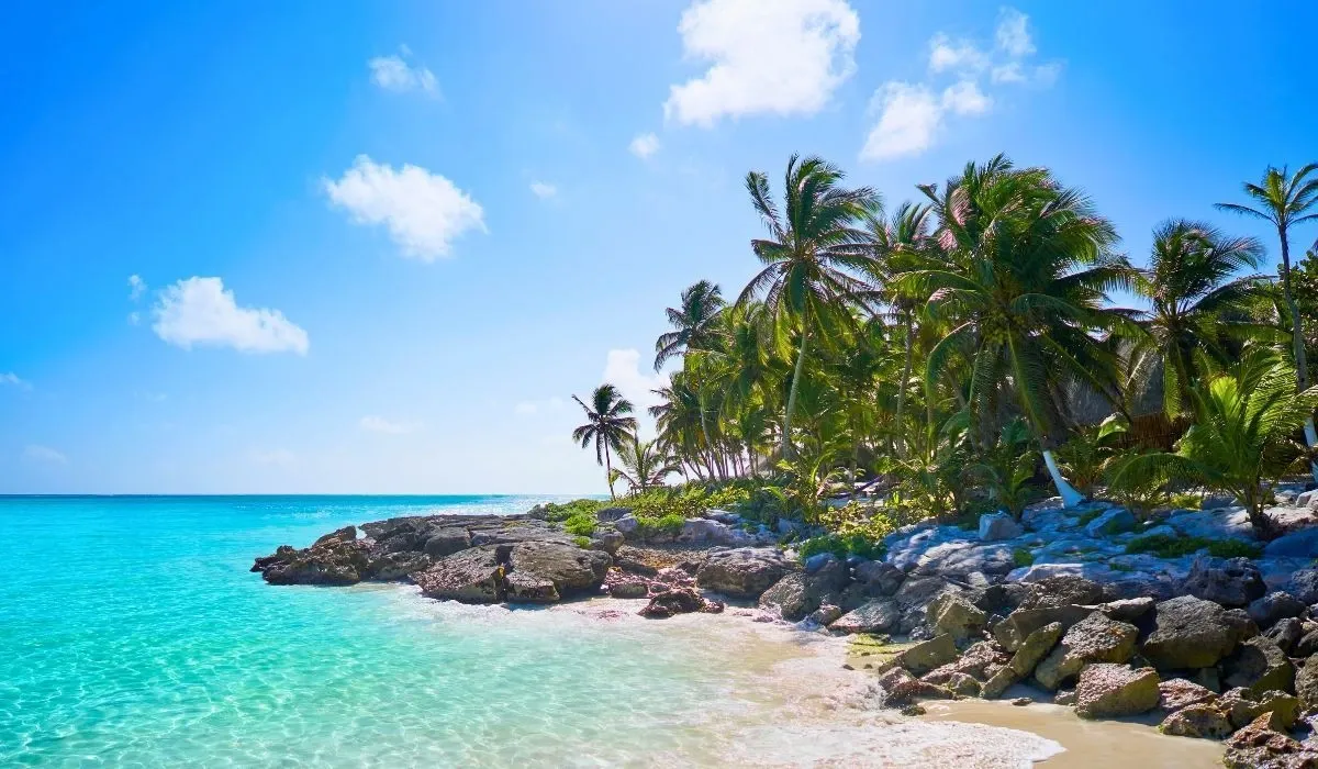 Crystal-clear tropical waters and palm-fringed rocky coast, illustrating destinations where Canadians buying property abroad can secure better FX rates and reduce costs on large international money transfers.