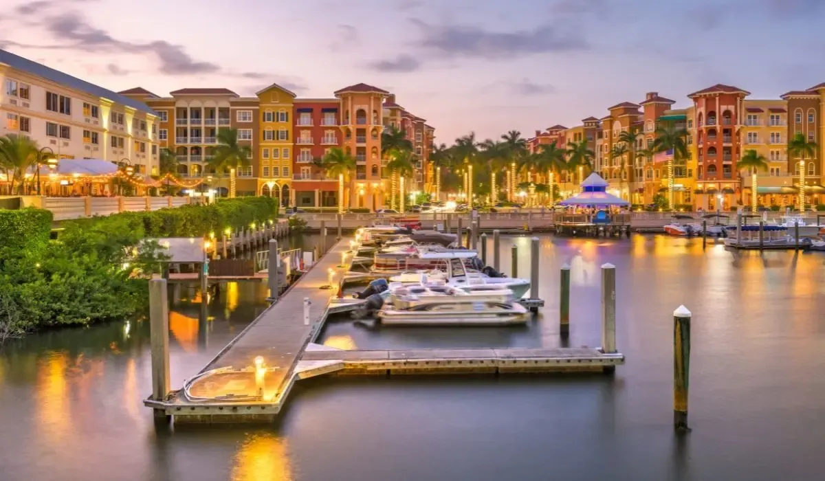A picturesque sunset over Naples Beach, with gentle waves lapping against the shore and silhouetted palm trees framing the horizon.