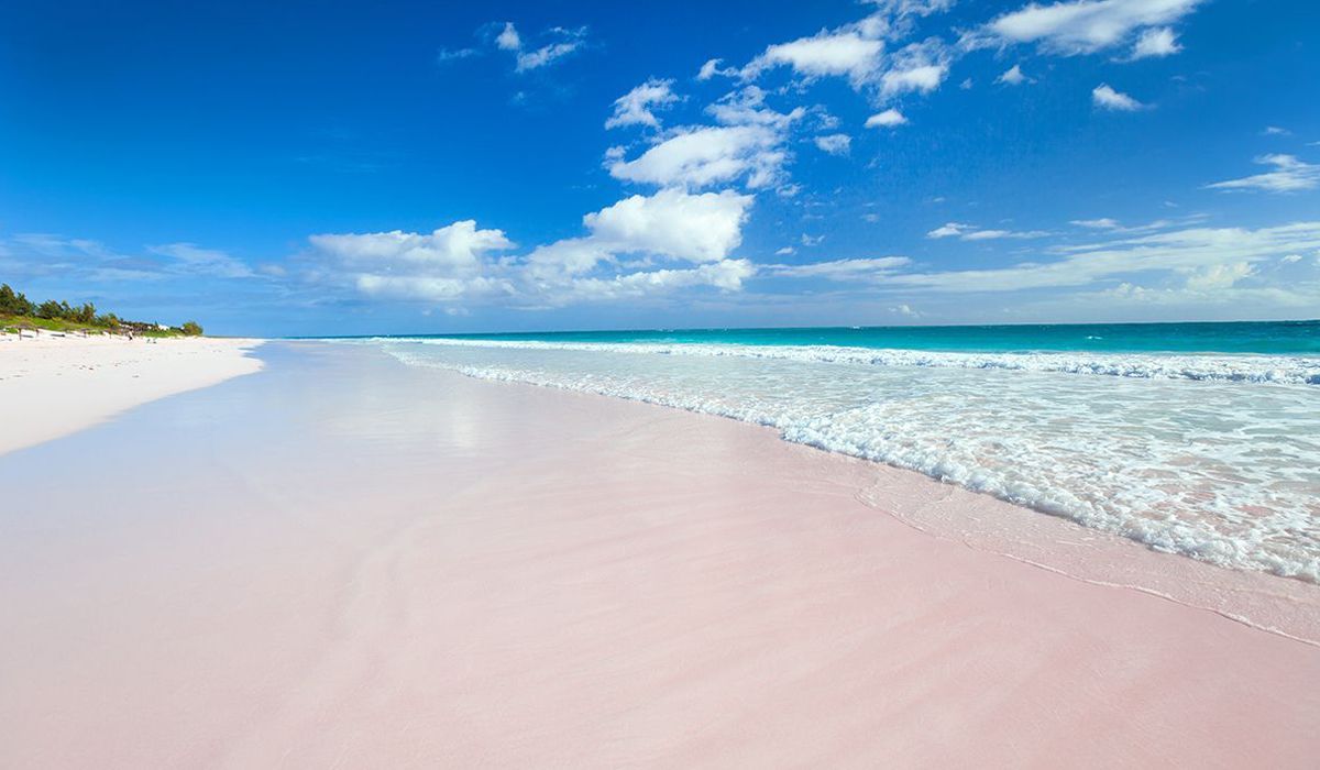 /uploads/Pink_Sands_Beach_Bahamas_acfc4c9e05.jpg