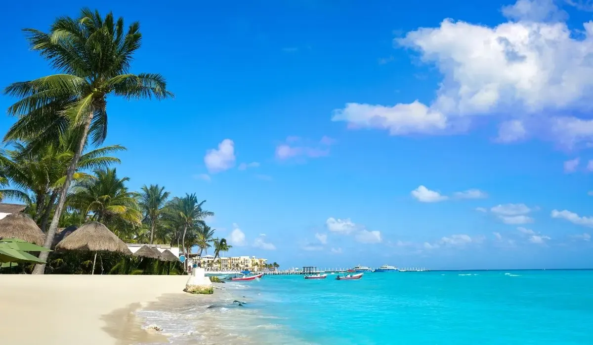 A tranquil beach scene in Playa del Carmen, displaying white sandy shores, turquoise waters, and palm trees under a sunny sky.
