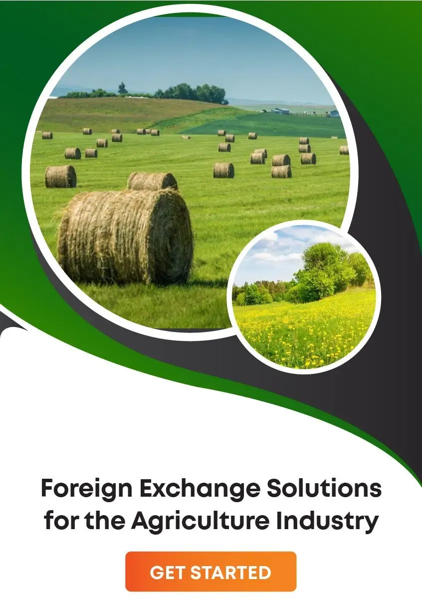 Foreign exchange solution for businesses