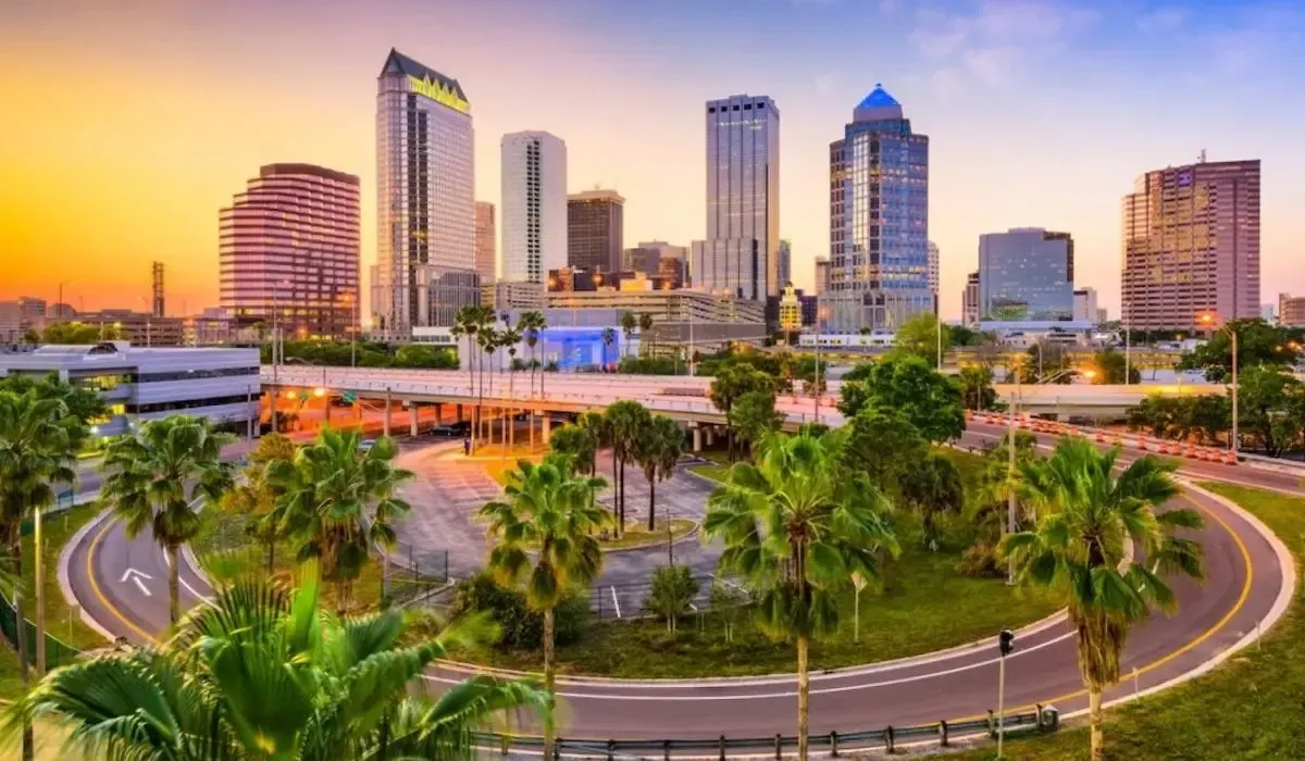 An overview of Tampa's skyline featuring modern architecture, the Hillsborough River, and the Tampa Bay area.