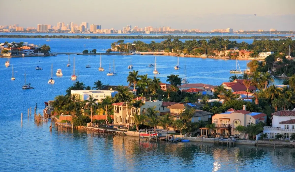 An aerial shot of a pristine beach in The Bahamas, featuring white sand, crystal-clear waters, and scattered palm trees under a bright blue sky.