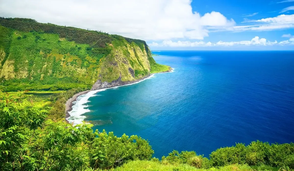 Sweeping coastal view of The Big Island, Hawaii, featuring green cliffs and deep blue ocean waters. Canadians purchasing real estate in Hawaii can benefit from competitive CAD to USD conversions and low-cost transfers with MTFX.