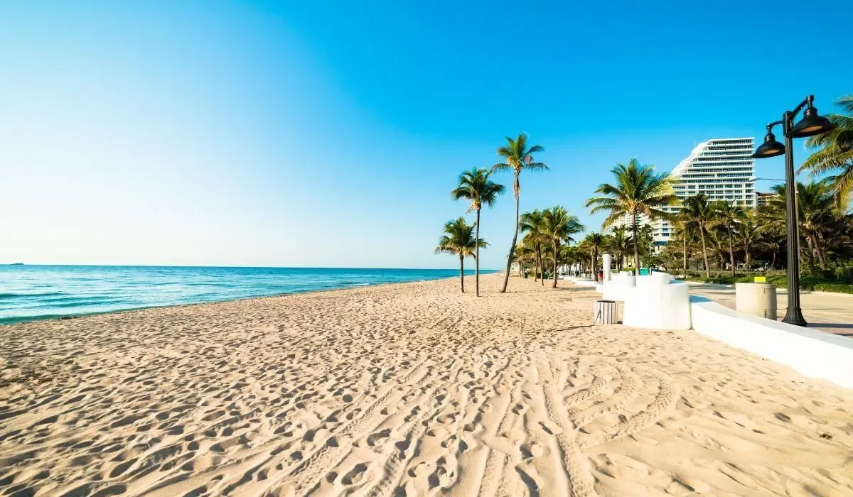 Sunny Fort Lauderdale beach with palm trees and oceanfront promenade.