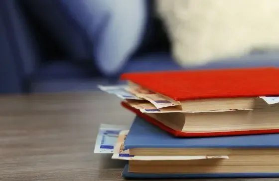 Books with euro bills tucked inside, symbolizing the hidden fees and costs often overlooked in cross-border payments.