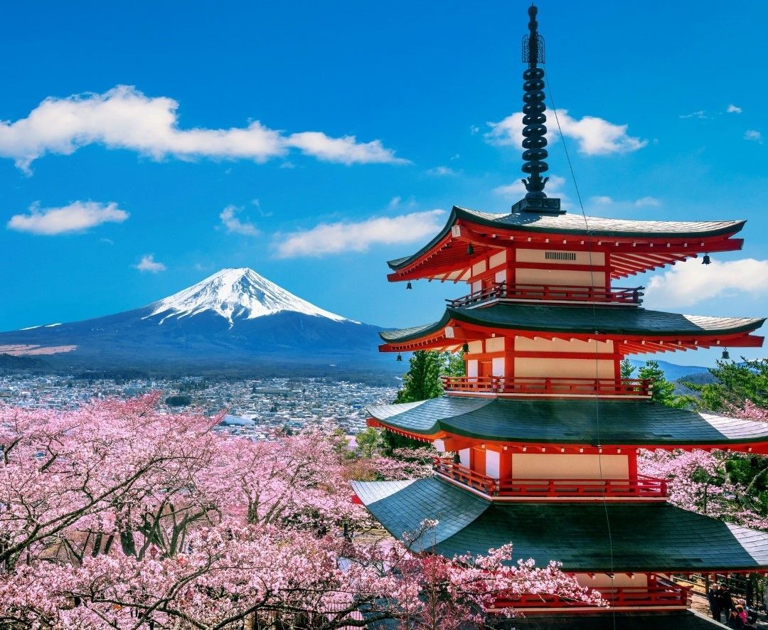 An image of traditional red Chureito Pagoda overlooking Mount Fuji with cherry blossoms in full bloom during spring in Japan on send money to japan page.