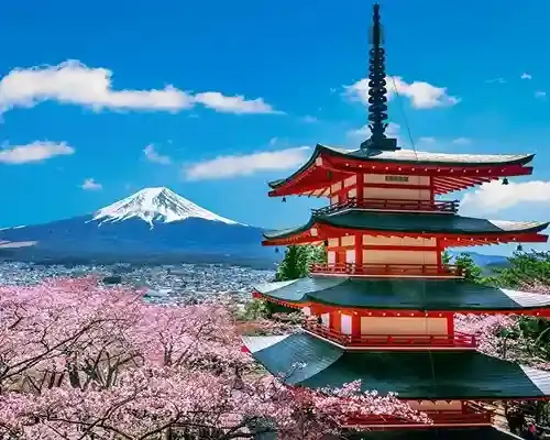 An image of traditional red Chureito Pagoda overlooking Mount Fuji with cherry blossoms in full bloom during spring in Japan on send money to japan page.