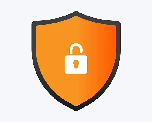 Shield icon representing secure and protected international money transfers.